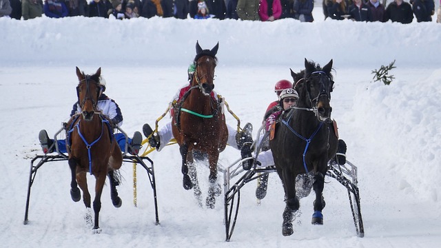 转会传闻，新闻：阿森纳盯上法兰克福的巴霍亚