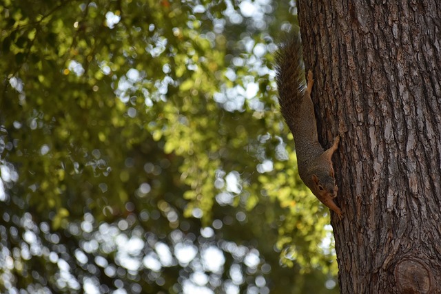 你对自己在曼联的结束方式遗憾吗？加纳乔：NO